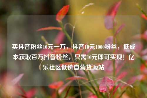 买抖音粉丝10元一万	，抖音10元1000粉丝，低成本获取百万抖音粉丝，只需10元即可实现！亿乐社区低价自营货源站  第1张